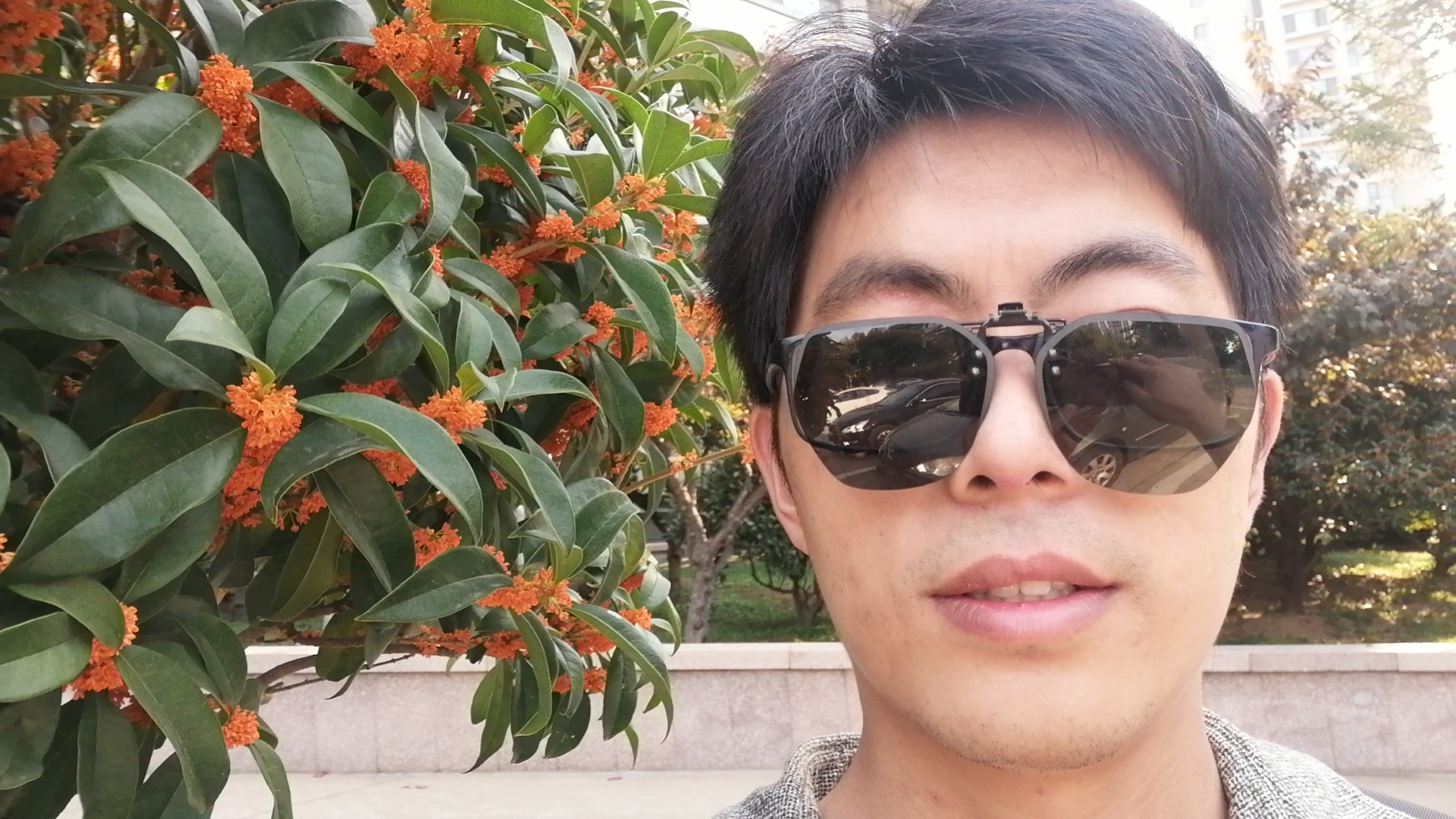 Live poetically (Haidong Pan)